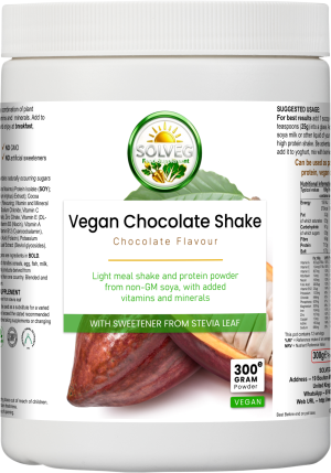 Vegan Chocolate Shake